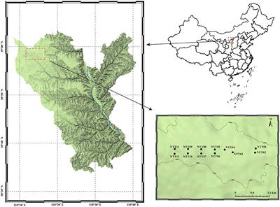 Impact of soil fissure status on microbial community in mining-disturbed area, the northern Shaanxi province